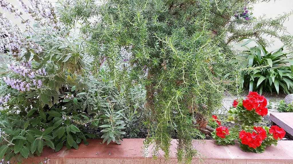 アルゲーロ Il Giardino Del Nespolo Bed & Breakfast イタリア